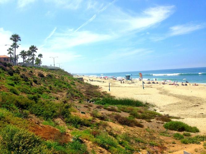 San Diego Beaches Fun & Free Things to Do in San Diego!