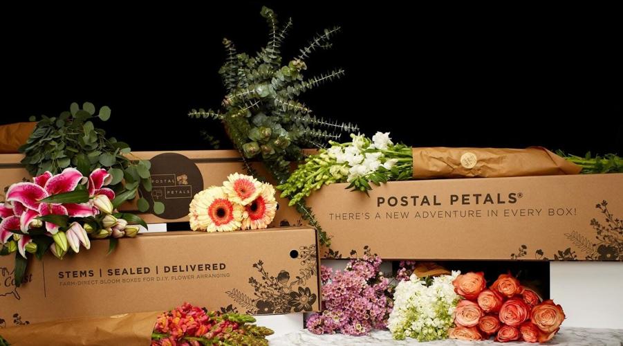 4 Holiday Gift Ideas for Everyone On Your List