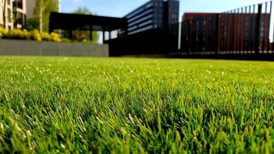How To Bring A Lawn Back From The Dead