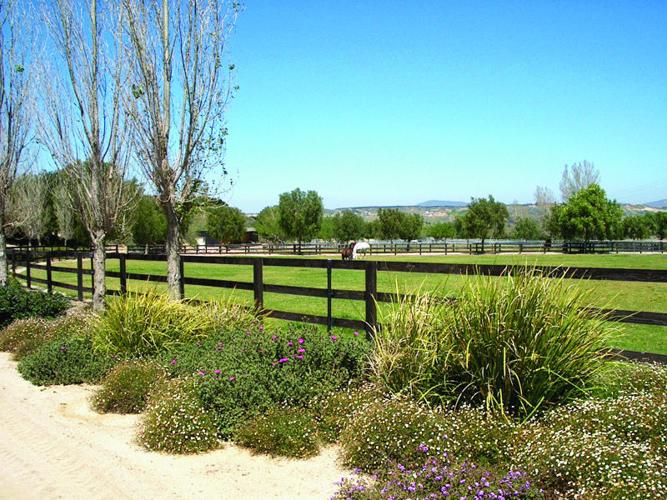 Wynn-Smith Perfects Equestrian Landscaping