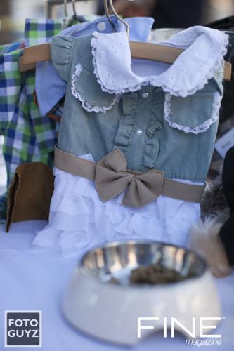 Photos by Will Grayson of Foto Guyz