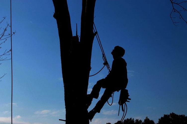 12 Roof Care Tips for Minnesota Homeowners