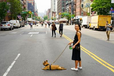 Maximizing Your Dog's Health with Professional Walkers