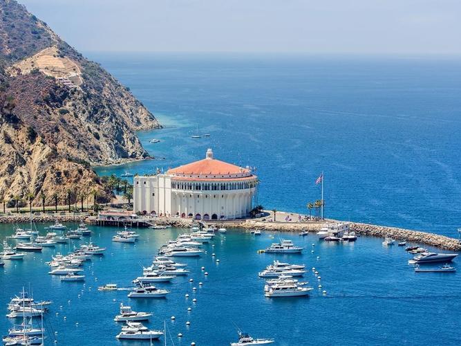 Dive into Adventure: Exploring the Kelp Forests of Catalina Island
