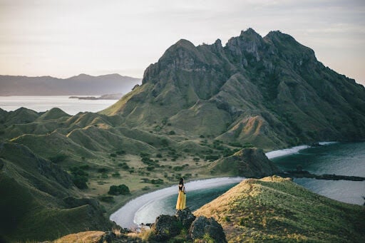 Roaming-Free_An-Adventurers-Handbook-for-Exploring-the-World