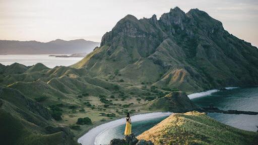 Roaming Free: An Adventurer's Handbook for Exploring the World