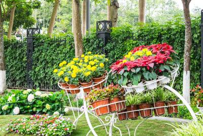 How to Keep Your Backyard on Trend This Summer