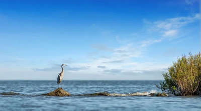 Top Things to Do in Chesapeake, VA: Your Ultimate Guide
