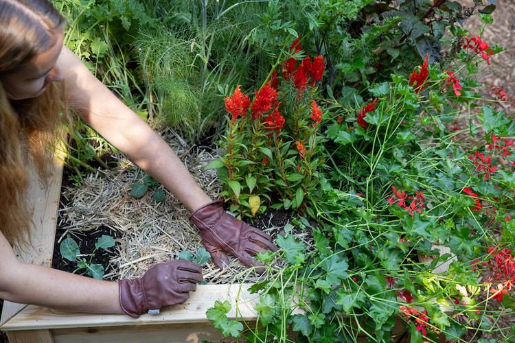 Tips for Successfully Preparing Your Raised Bed Garden for Winter