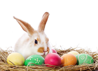 Spending Easter in San Diego: Top 5 Events