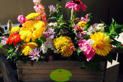 Top San Diego Wedding Florists as Voted by YOU!