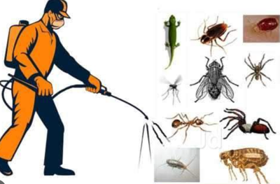 How Often Residential Houses Should Have Indoor Pest Treatment