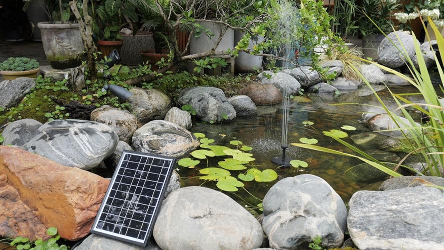 Electric vs. Solar Fountain Pump - Which is best for you?