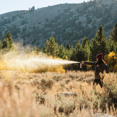 Campfires, Bear Spray, and Big Towels: Why Camping is Good for the Soul