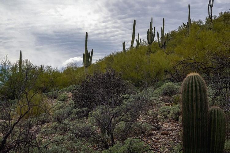 Wellness Retreats That Are Actually Worth the Price