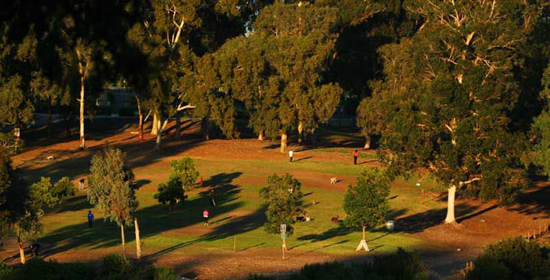 Balboa-Dog-Park