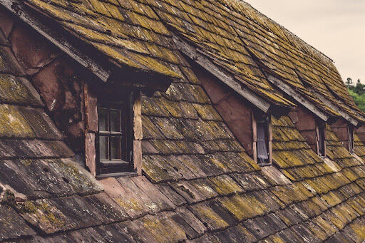 How to Address Roof Damage Before It Impacts Your Home's Structure