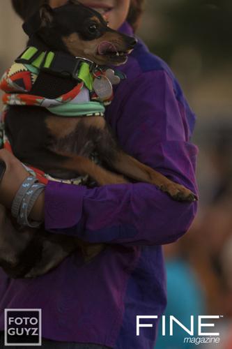 Photos by Will Grayson of Foto Guyz