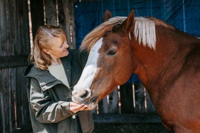 What Are the Top Equine Therapy Programs That Accept Insurance?