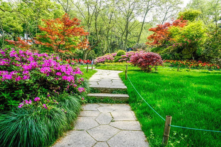 Timeless Planting Palettes That Define Prestigious Front Gardens