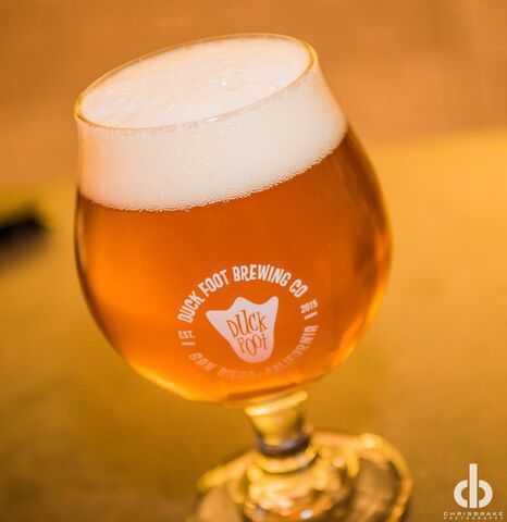 Duck Foot Brewing Co.
