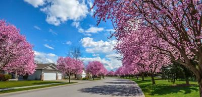 Spring: When Nature and the Real Estate Market Awaken in Harmony