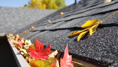 Taking a Look at the Importance of Proper Gutter Cleaning After Fall