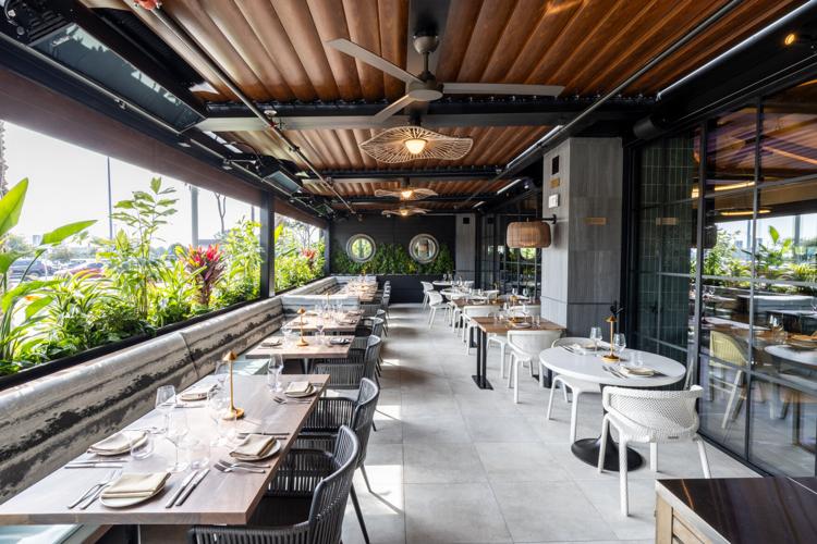 The Amalfi Llama Joins San Diego Restaurant Week