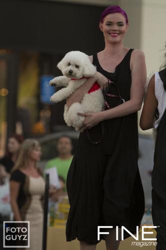 Photos by Will Grayson of Foto Guyz