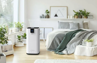 BUYER’S GUIDE: Should I buy a Portable or Whole-House Dehumidifier?