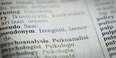 Dictionary in other language that can be used for translating business documents