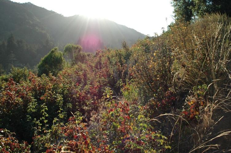 A Journey Through Southern California’s Most Captivating Trails