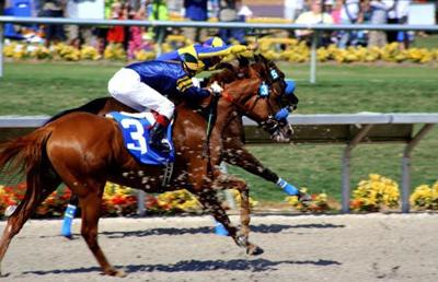 Opening Day Del Mar Race Track vs The Kentucky Derby