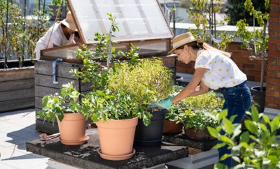 5 Urban Gardening Trends You’ll Want To Try This Year