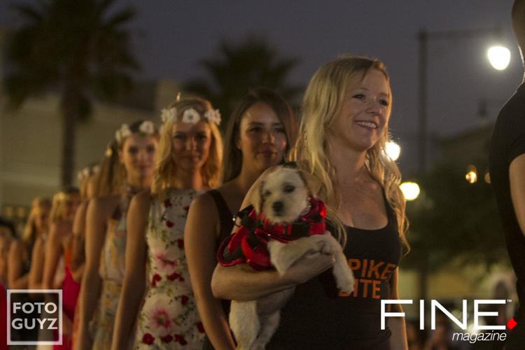 Photos by Will Grayson of Foto Guyz