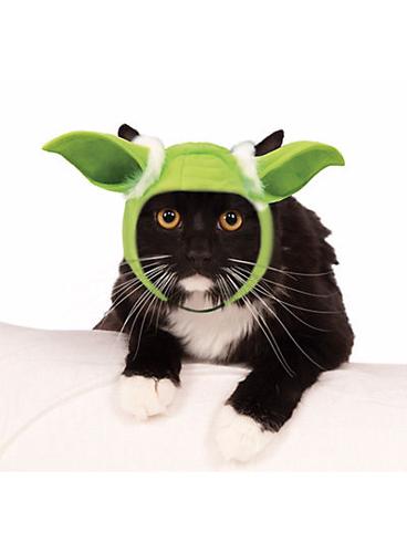 Top Pet Costumes