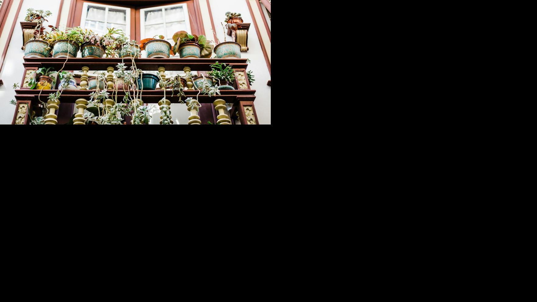 Transform Your Outdoor Oasis with 7 Creative Wall Decor Ideas To Refresh Your Space