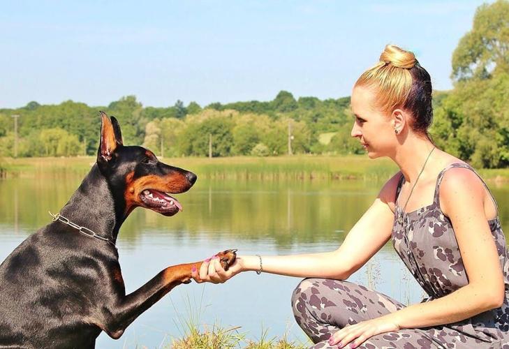 Unleash the Good Boy: 7 Useful Tips for Perfect Dog Behavior