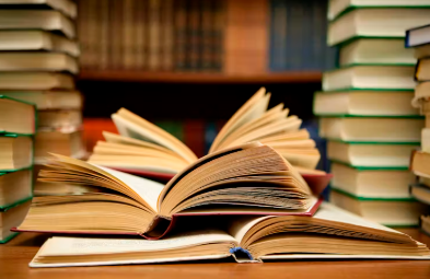From Idea to Bestseller: How to Nurture Your Story and Bring it to Life