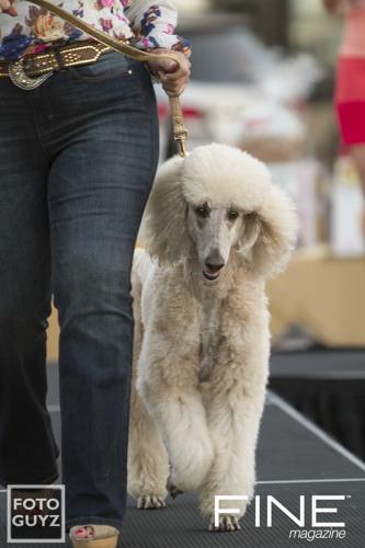 Photos by Will Grayson of Foto Guyz