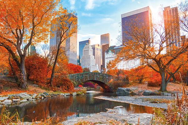 Unique Sites for Millennials to Scope Out in New York City