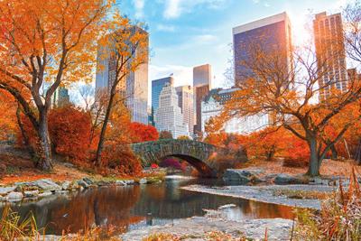 Unique Sites for Millennials to Scope Out in New York City