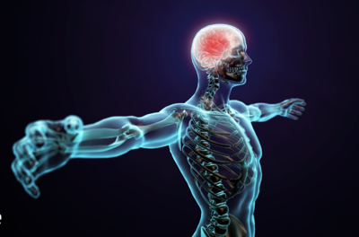 9 Things About Nerves that Will Shock You
