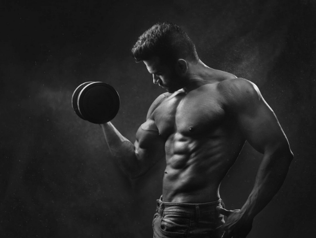 Health Guide on How to Gain Muscle