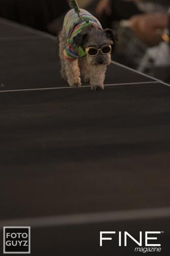 Photos by Will Grayson of Foto Guyz