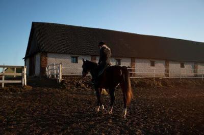 The Features One Can Expect When They Purchase Their First Horse Property