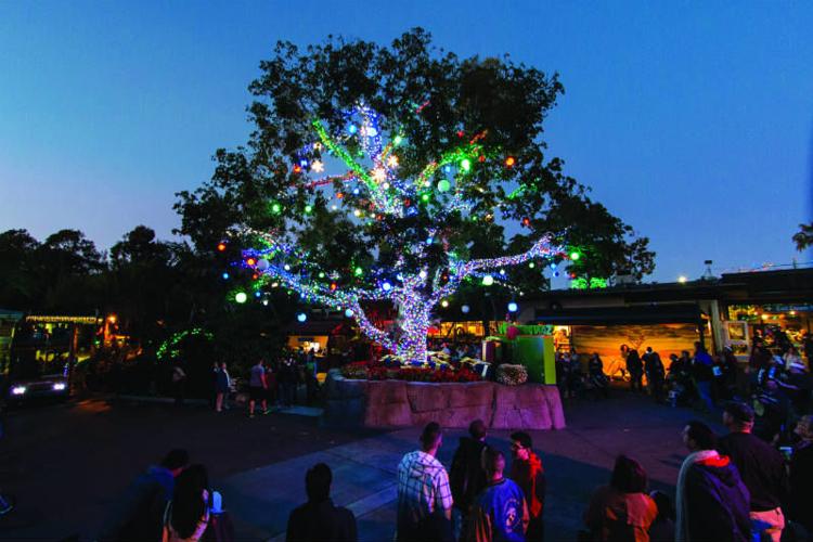 Things to do in San Diego for Christmas 2017