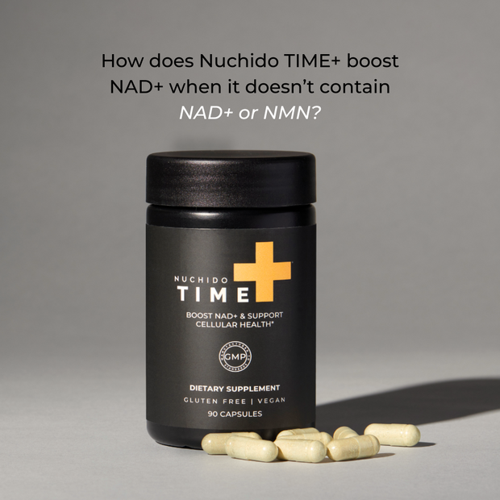 A Smarter Way to Begin the Year with Wellness That Lasts