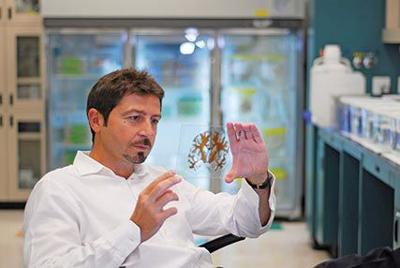 The Brain Observatory in the Race to Fight Alzheimer's