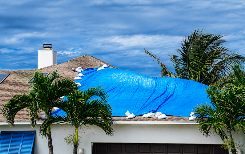 10 Best Emergency Roof Repair Companies in Palm Beach 2026